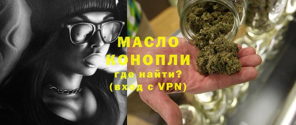 индика Кулебаки