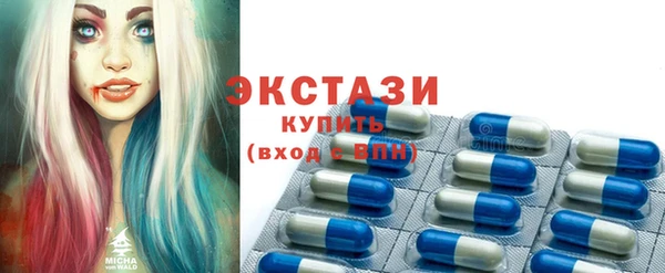 индика Кулебаки