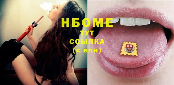 индика Кулебаки