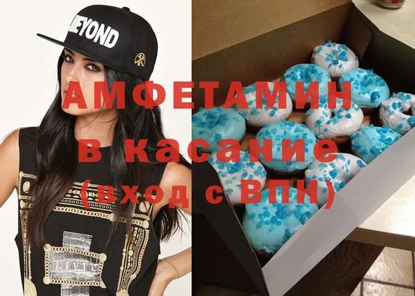 индика Кулебаки