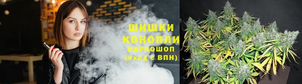 индика Кулебаки