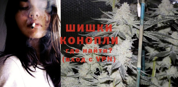 индика Кулебаки