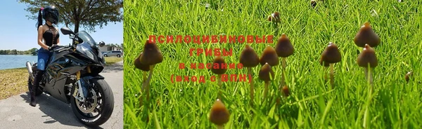 индика Кулебаки