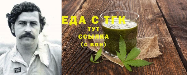 индика Кулебаки