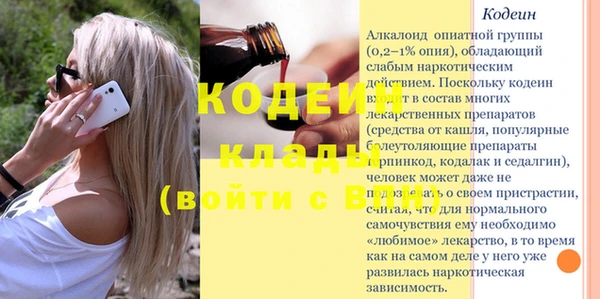 индика Кулебаки