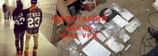 индика Кулебаки