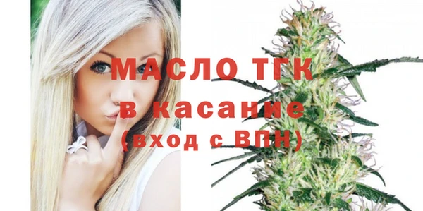 индика Кулебаки