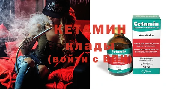 индика Кулебаки