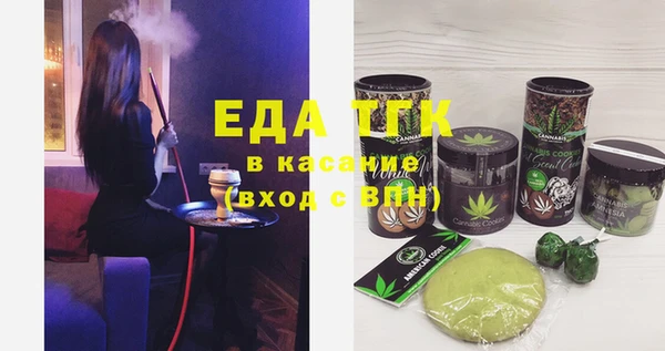 индика Кулебаки