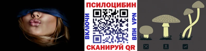 Галлюциногенные грибы Psilocybe Хвалынск
