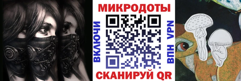 наркошоп  Хвалынск  Псилоцибиновые грибы Psilocybe 